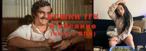 трава Аркадак