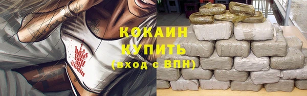 трава Аркадак
