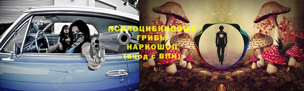 трава Аркадак