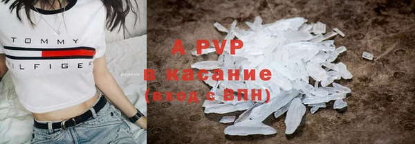 трава Аркадак