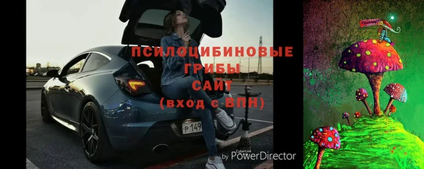 трава Аркадак